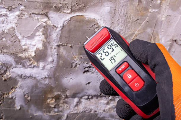 Best Mold Damage Repair  in Taylor Creek, OH